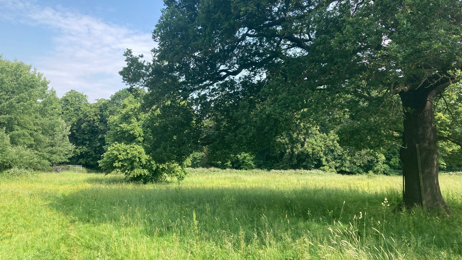 Image of Aldenham Estate - Home Farm - South Fields (2)