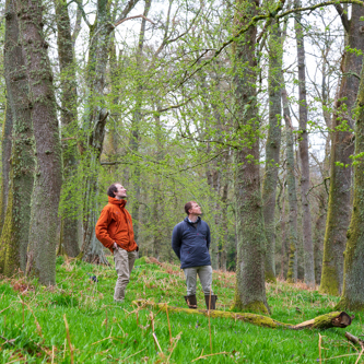 Image of Murthly Estate – Scotland 232 (1)