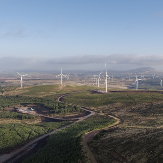 Image of Cumberhead_002