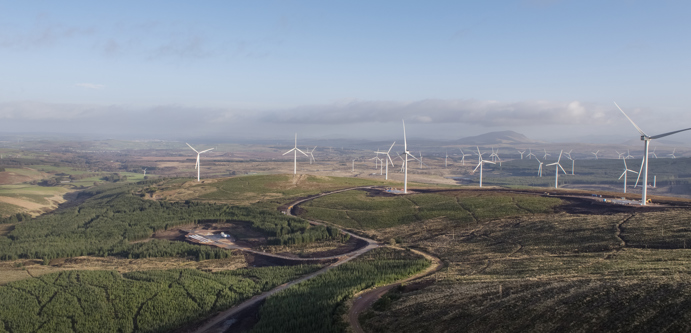 Image of Cumberhead_002