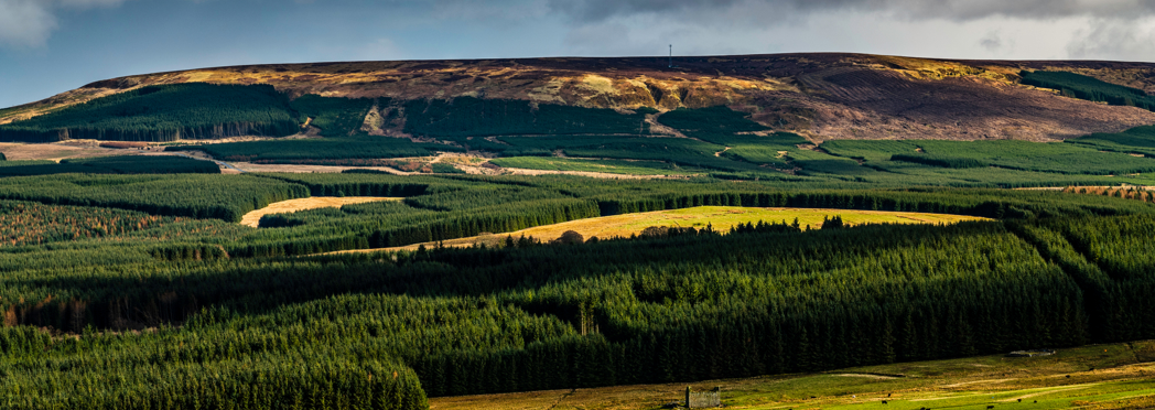 Image of Southdean-Hawick-Scottish-Borders