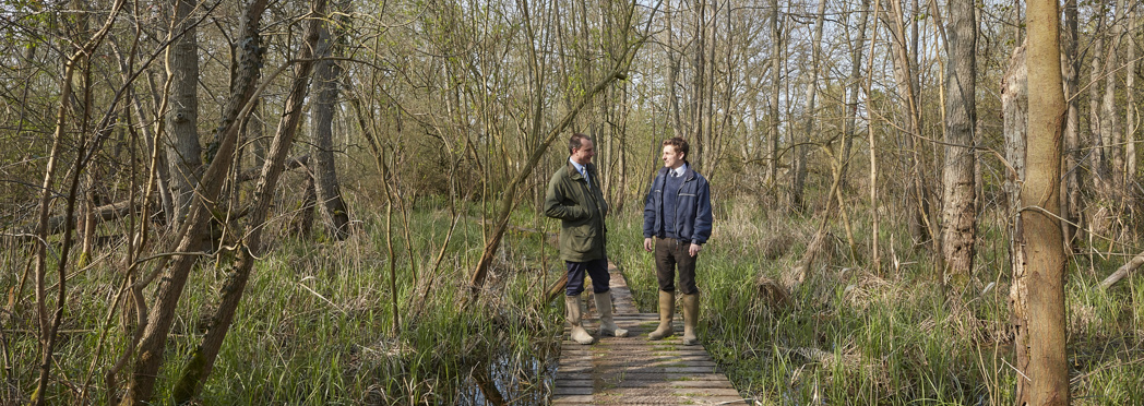 Image of Fordham_Wet_Woods_And_Great_Wilbraham_210421 9