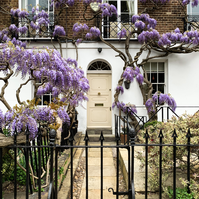 Image of AdobeStock_433152396