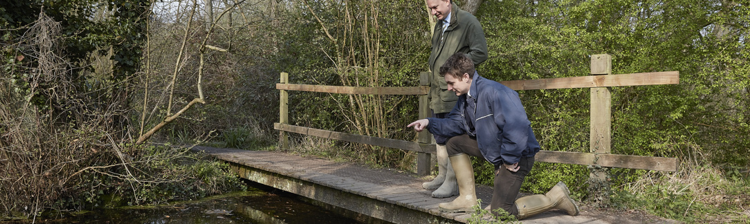 Image of Biodiversity Net Gain