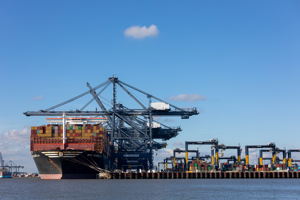  Ipswich,  IP6 0RL picture 4