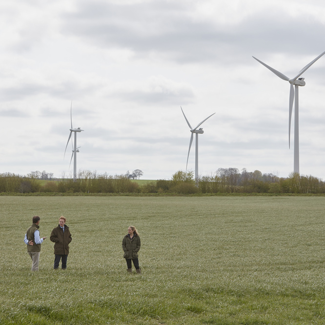 Take strategic advice on maximising the value of my land