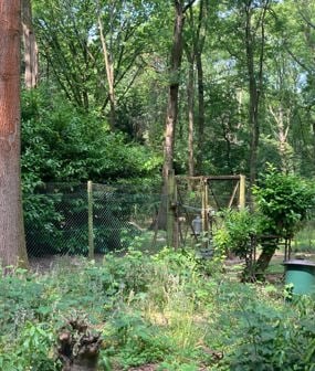 Aldenham Estate, Elstree