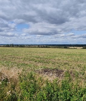 Kingsland Farm, Huntingdon