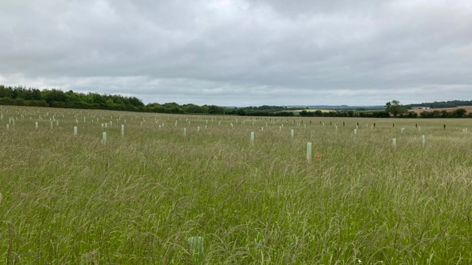 Image of lower-valley-farm-2