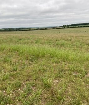 Lower Valley Farm, Fulbourn