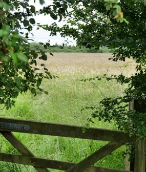 Ludgershall Habitat Bank