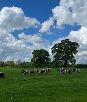 Manor Farm, Aylesbury