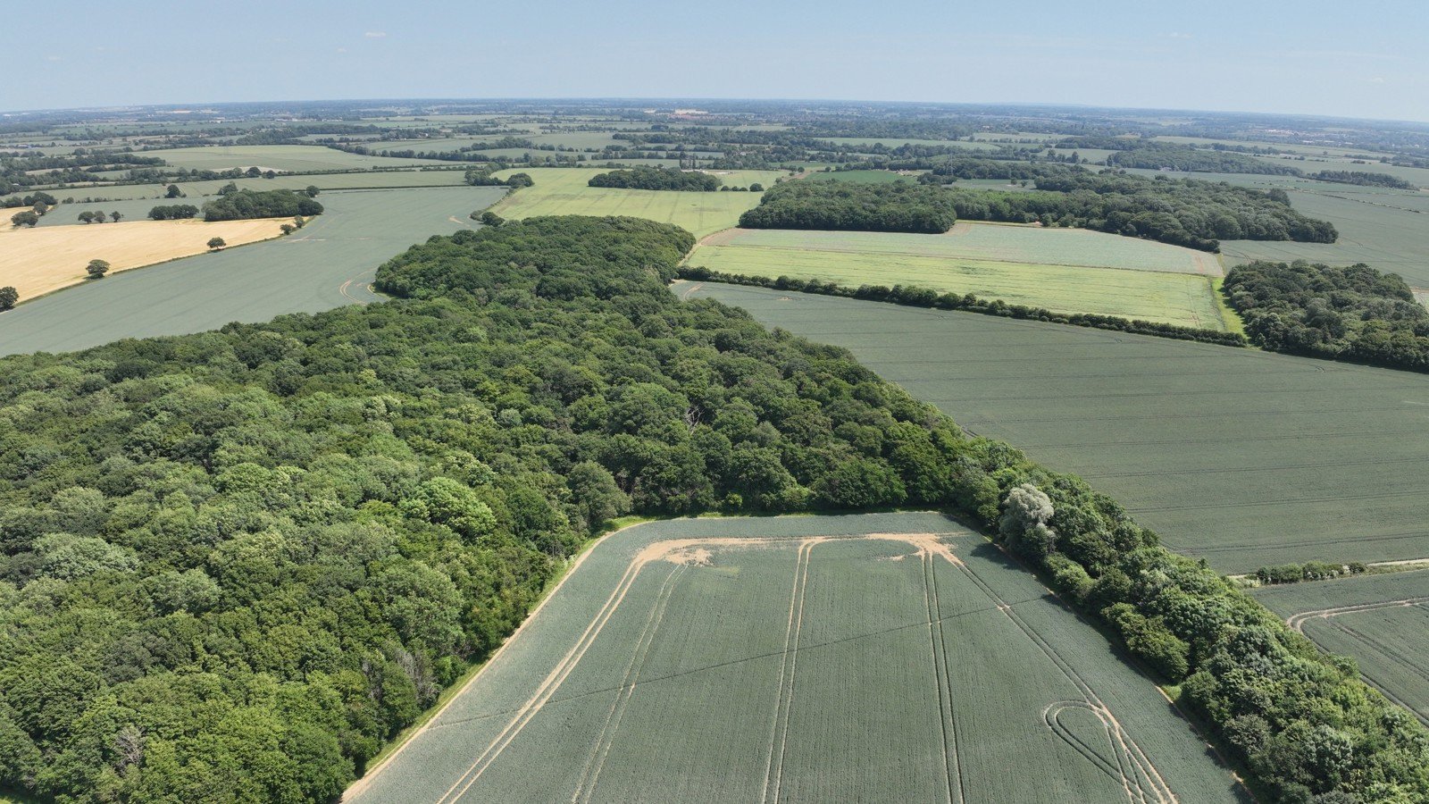 Image of DJI_20250613125056_0006_V