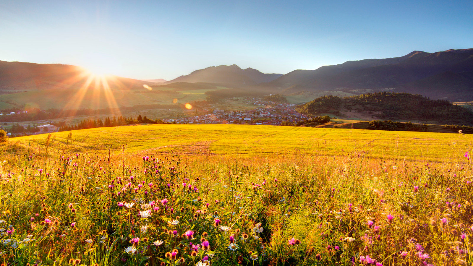 Image of S_220721_N256_medium