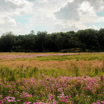 Image of Government response (1)