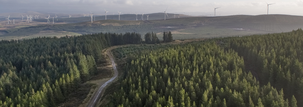 Image of Cumberhead_036