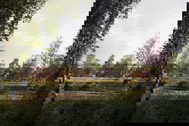 Image of 23331 - BCRInfinity - DiscoveryPark_View02_FogTweak-compressed