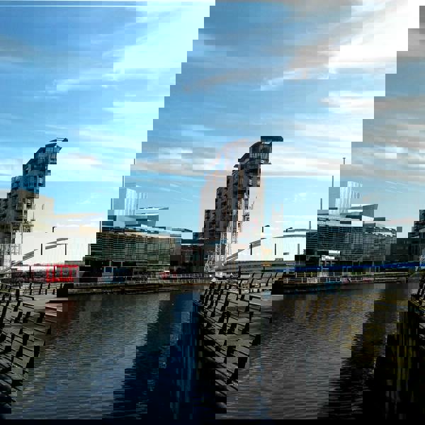 Image of pexels-johny-rebel-the-explorer-panda-114076-388279