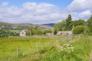 Angus, DD8 4NB picture 1