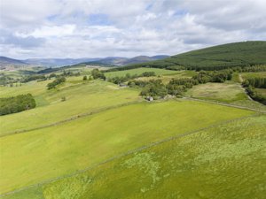 Angus, DD8 4NB picture 3