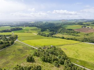 Angus, DD8 4NB picture 4