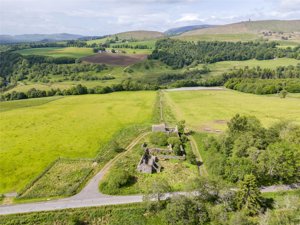 Angus, DD8 4NB picture 5