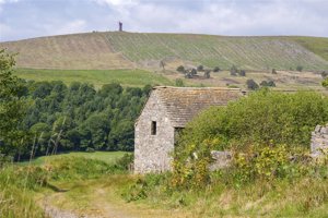 Angus, DD8 4NB picture 6