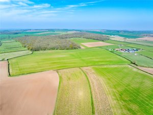 Retford, Nottinghamshire, DN22 0EE picture 1