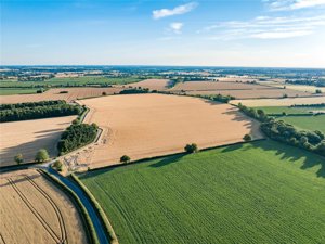 Norfolk, NR16 1NH picture 2