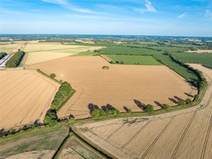 Norfolk, NR16 1NH picture 4