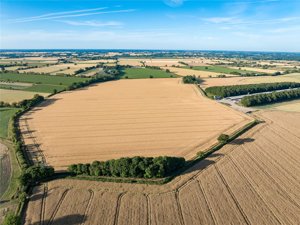 Norfolk, NR16 1NH picture 3