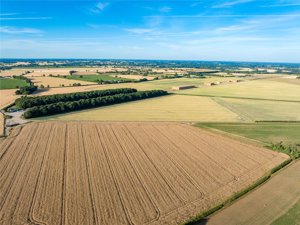 Norfolk, NR16 1NH picture 5