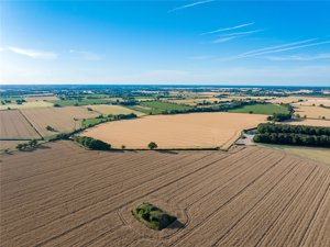 Norfolk, NR16 1NH picture 6