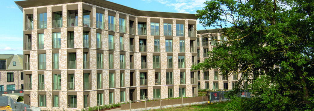 Image of Eddington 7