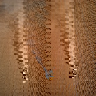 red-zeppelin-wK8FotlDnrc-unsplash