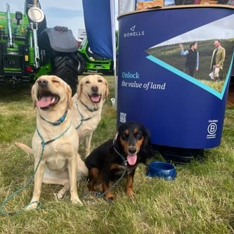 Image of WhatsApp Image 2025-07-21 at 08.33.21 (3)