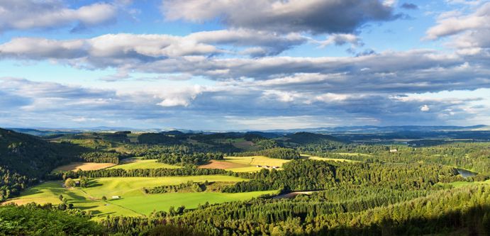 Image of Murthly Estate 1